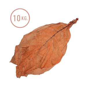 medium-hoja-de-tabaco-10kg