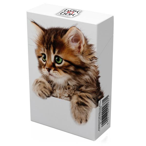 cajetillas de cartón con gatito